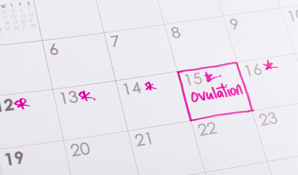 ovuliation